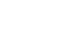 SIMETRIC_Logo_pion.white